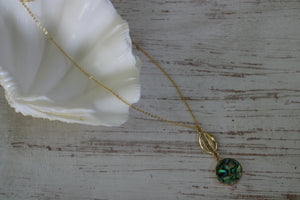 Paua Shell Gold Necklace with Gold Shell Connector