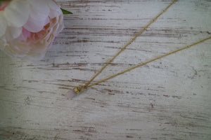 Rose Quartz Crystal Point Gold Necklace