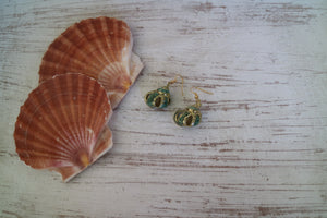 Green conch sea shell gold earrings