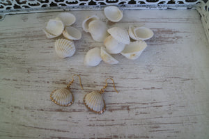 Two cockle shell gold earrings