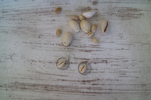 White cowrie sea shell sterling silver earrings