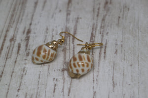 Gold conch shell earrings