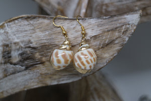 Gold conch shell earrings