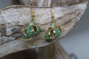 Green conch sea shell gold earrings
