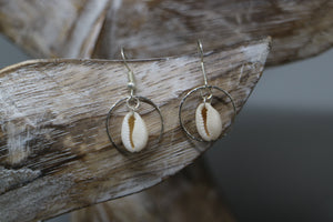 White cowrie sea shell sterling silver earrings