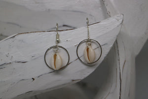 White cowrie sea shell sterling silver earrings