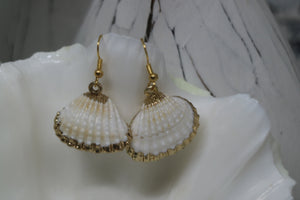 Two cockle shell gold earrings