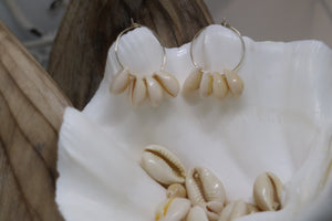 White cowrie shell silver earrings