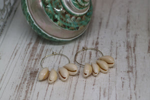 White cowrie shell silver earrings