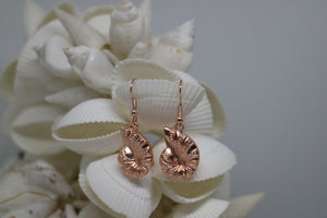 Rose gold shell earrings