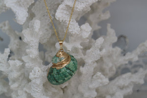 Green Conch Sea Shell Gold Necklace