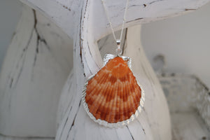 Orange Sea Scallop Shell Silver Necklace