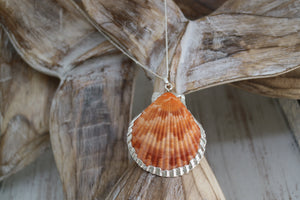 Orange Sea Scallop Shell Silver Necklace