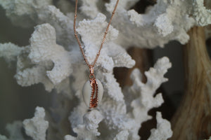 Rose Gold Cowrie Shell Necklace