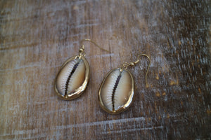 Gold shell earrings