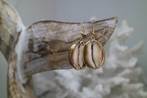 Gold shell earrings
