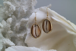 Gold Shell Earrings