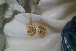 Gold shell earrings