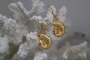 Gold shell earrings
