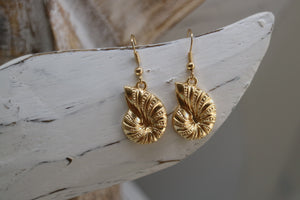 Gold shell earrings