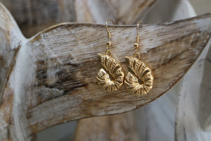 Gold shell earrings
