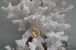 Gold Shell Necklace