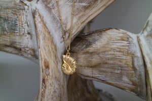 Gold Shell Necklace