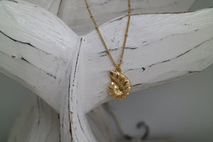 Gold Shell Necklace