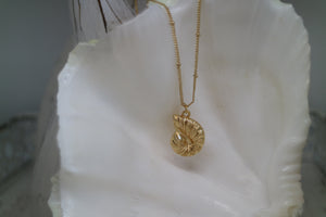 Gold Shell Necklace
