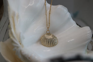 Gold Shell Necklace