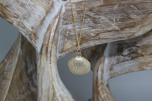 Gold Shell Necklace