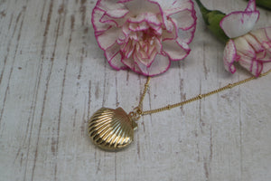Gold Shell Locket Necklace