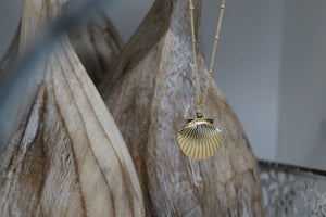 Gold Shell Locket Necklace