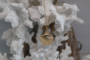 Gold Shell Locket Necklace