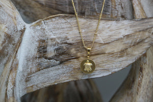 Bertie Necklace - Gold Turtle
