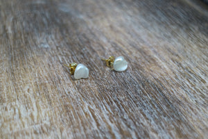 Fresh Water Pearl Gold Earring Studs