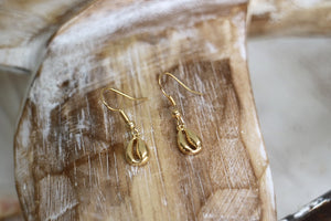 Gold shell earrings