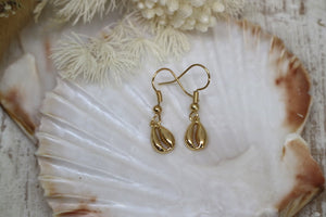 Gold shell earrings