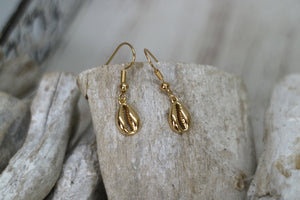 Gold shell earrings