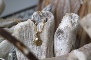 Gold scallop sea shell necklace
