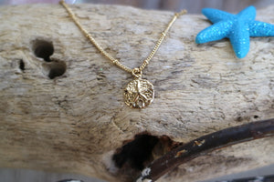 Children's 14k gold filled sand dollar shell necklace