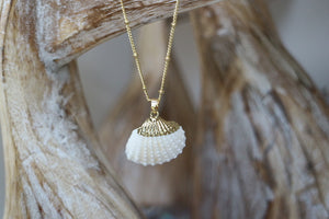 White and gold cockle shell necklace