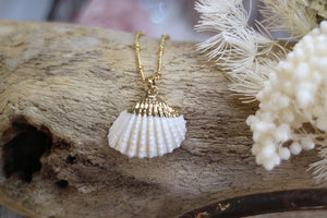 White and gold cockle shell necklace