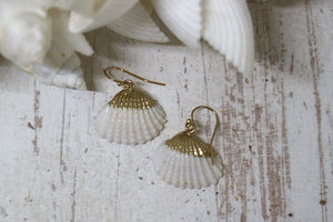 White cockle shell gold earrings