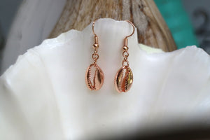 Rose gold cowrie shell earrings