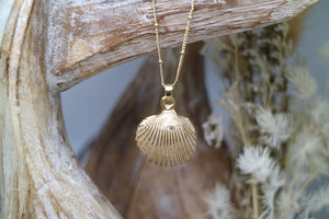 Gold and white pearl shell necklace