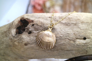 Gold and white pearl shell necklace