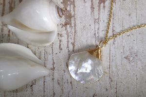 White shell wire wrapped gold necklace
