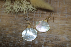 White shell wire wrapped 14k gold filled earrings