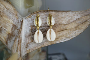 Cowrie shell gold earrings
